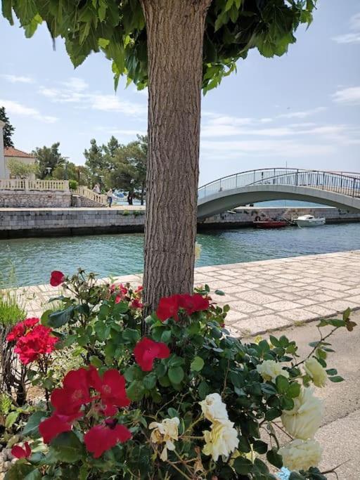 Ferienwohnung Nena In Crikvenica Exterior photo